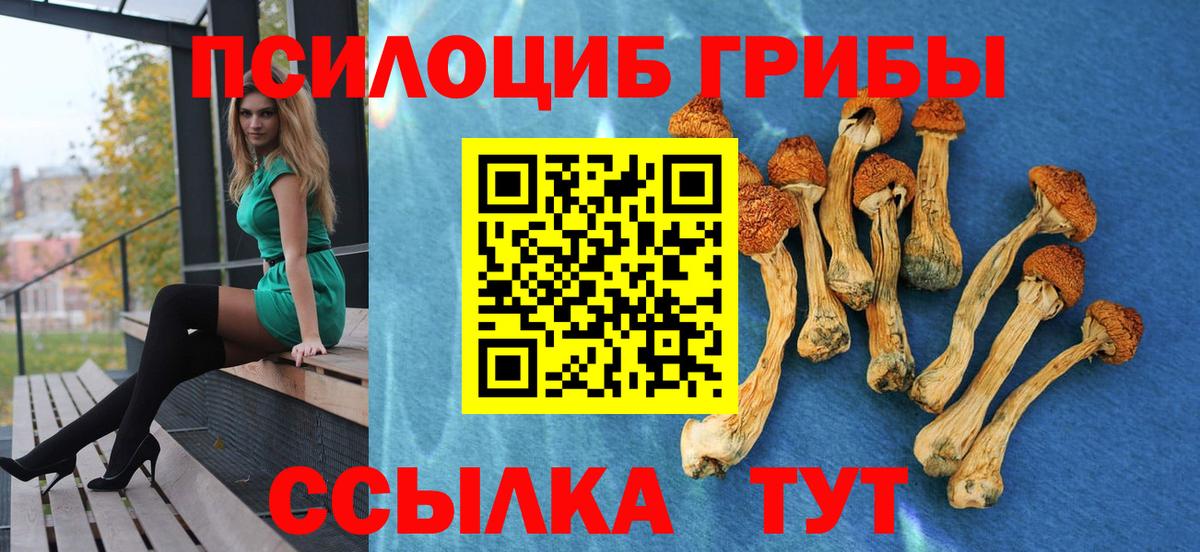 Галлюциногенные грибы мухоморы  Вход с VPN  Ефремов 