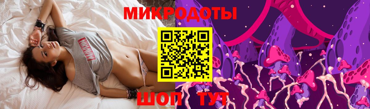 купить закладку  Ефремов  Галлюциногенные грибы мухоморы 