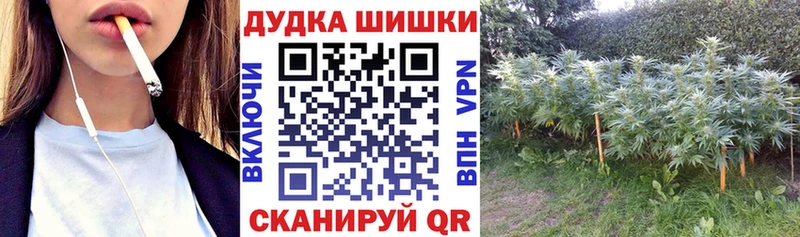 это какой сайт  Ефремов  Канабис гибрид 